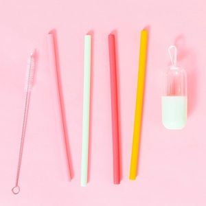 Chic & Tonic silicone straws, brush cleaner & case